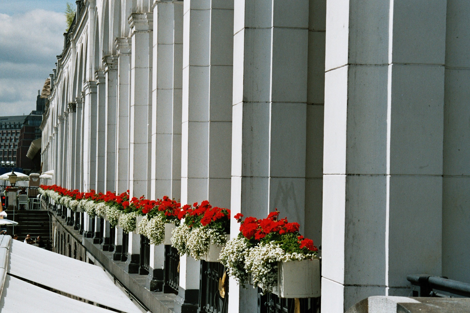 blütenreiche Front, nahe der Alster