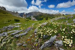 Blütenreicher Ofenpass