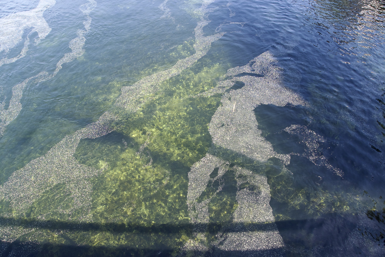 Blütenstaub auf dem Wasser des Traunsee