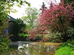 Blütentraum,Blütenschleim = Allergieauslöser.