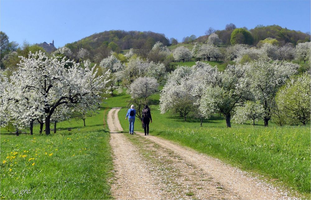 Blütenwanderung