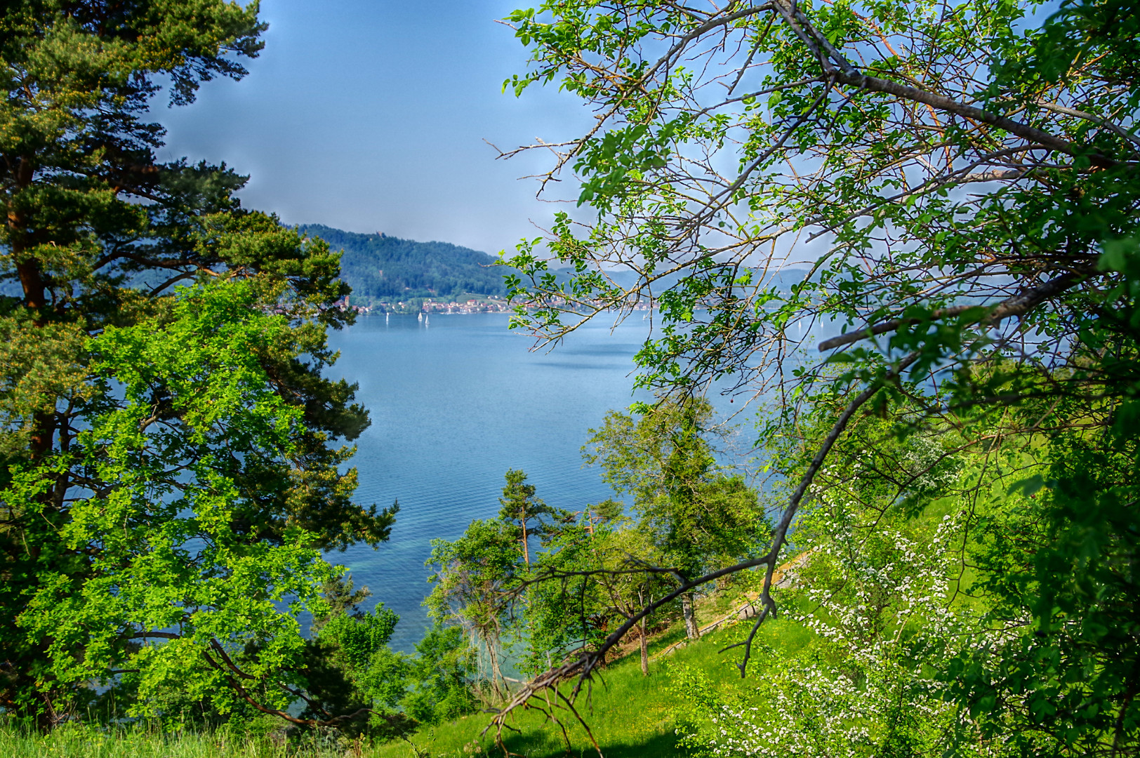 Blütenweg in Sipplingen