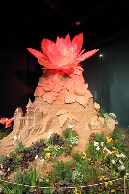 Blütenwunder Dresden in Oskarshausen