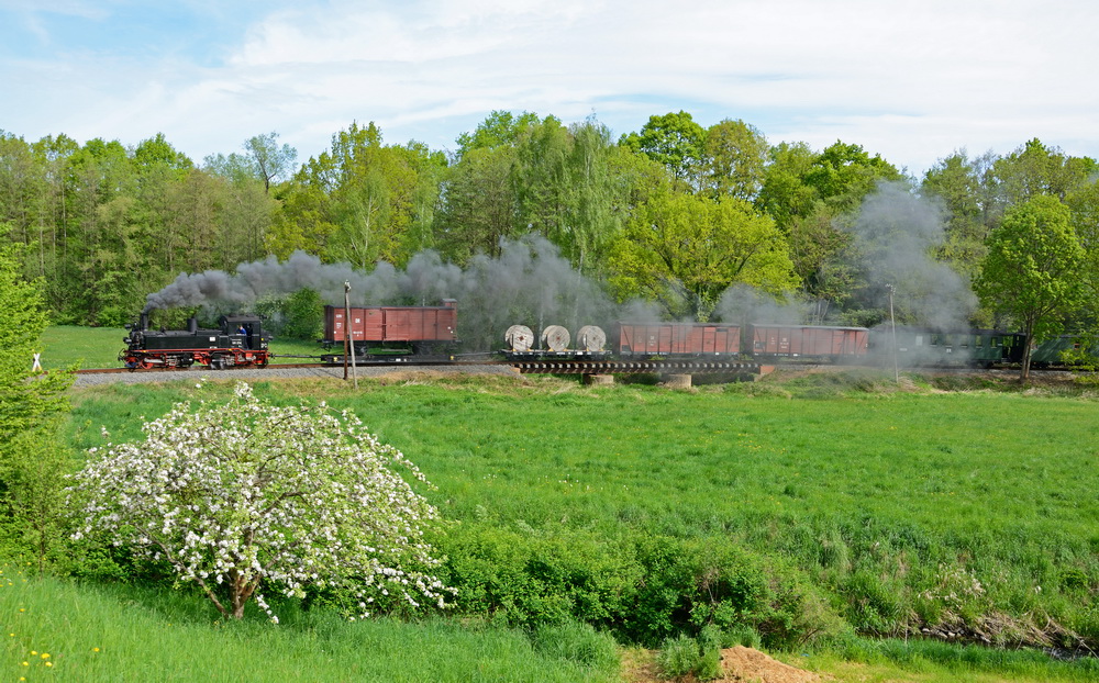 Blütenzauber bei der Döllnitzbahn