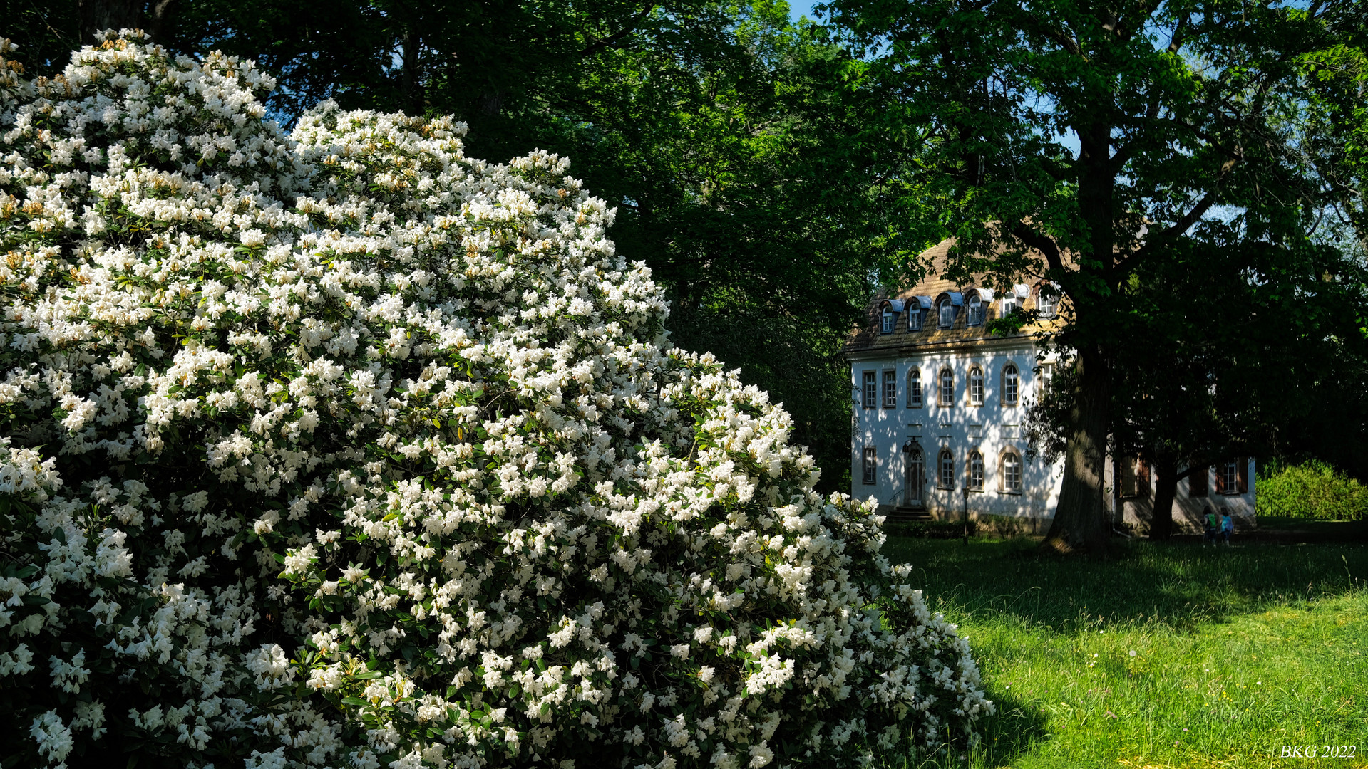 Blütenzauber im Schlosspark Tannenfeld 