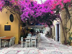 Blütenzauber in Nafplio