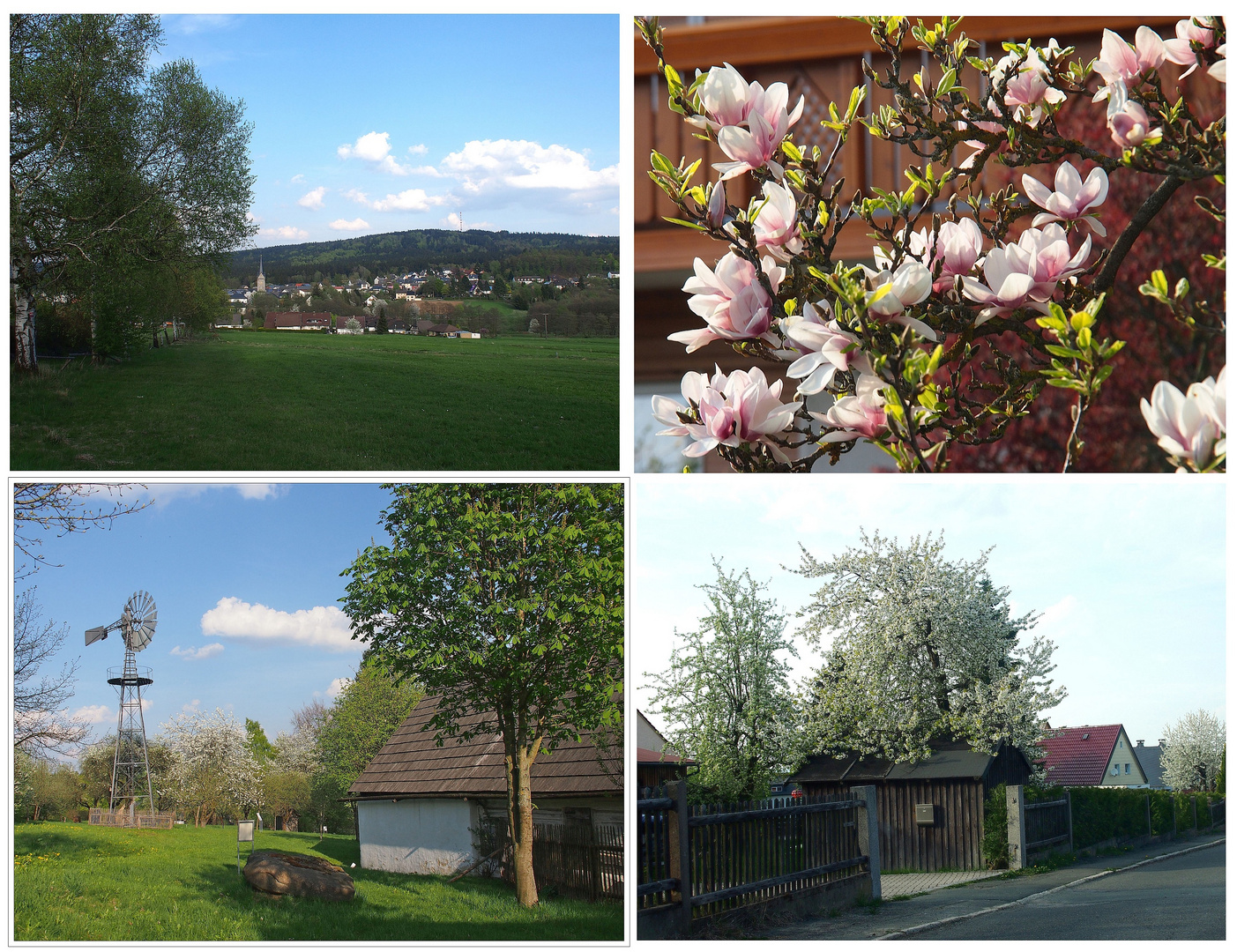 Blütenzeit um Zell