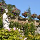 Blütezeit auf der Insel Mainau