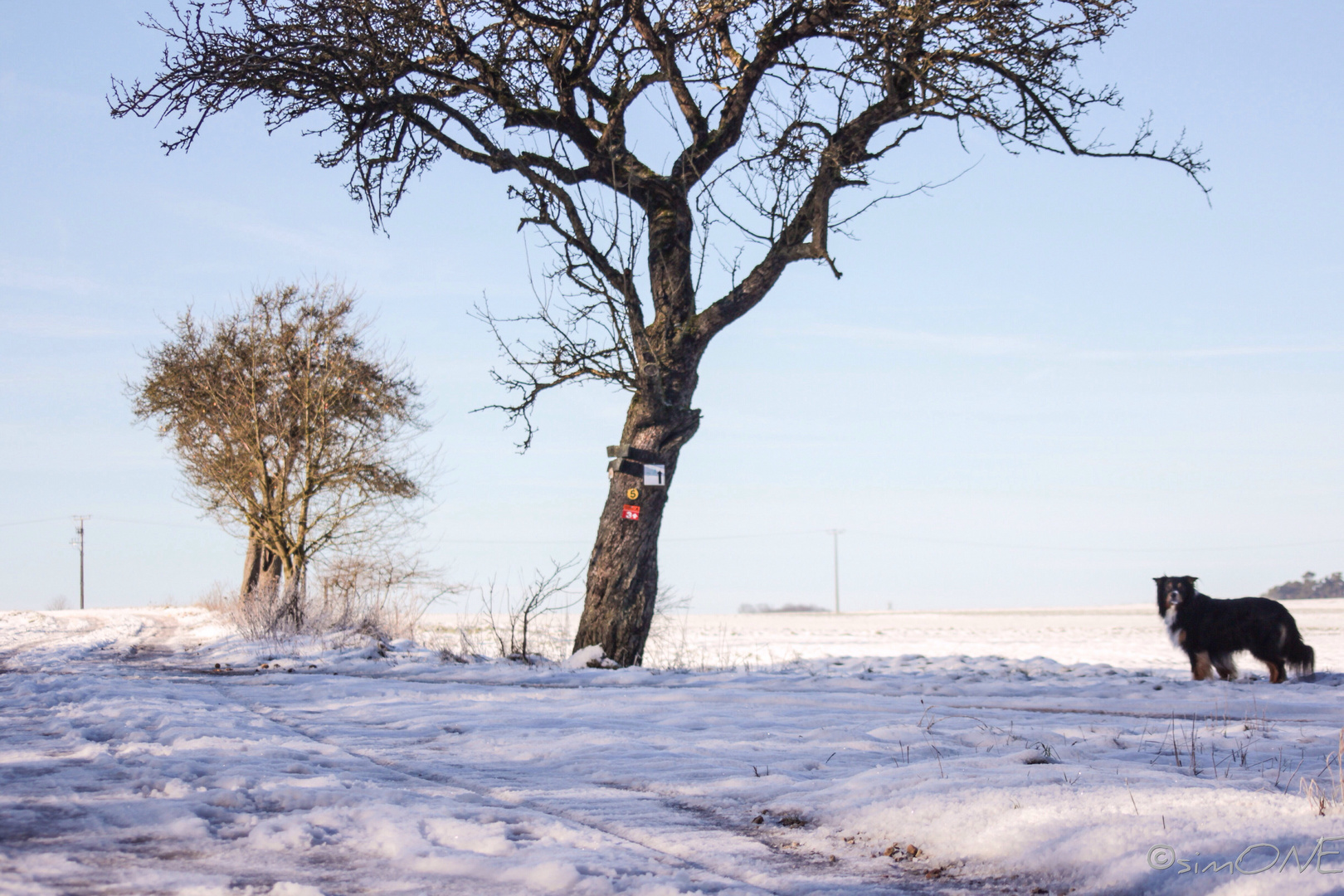 Blue.winter.