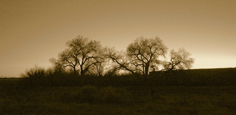 Bluff at Night