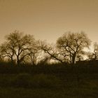 Bluff at Night