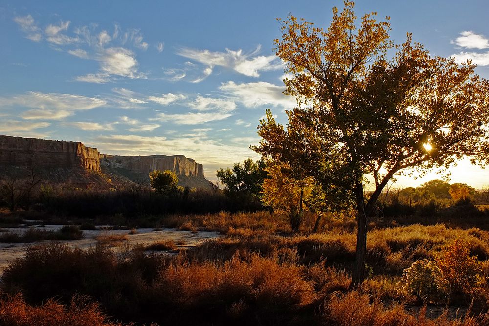 Bluff in Utah