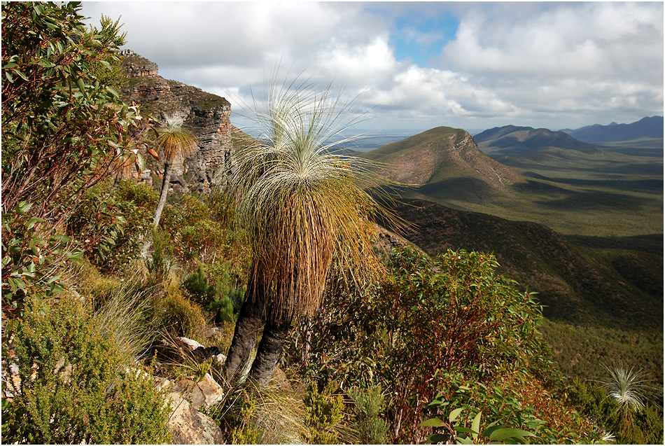 Bluff Knoll