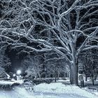 Blumberg bei Nacht im Schnee