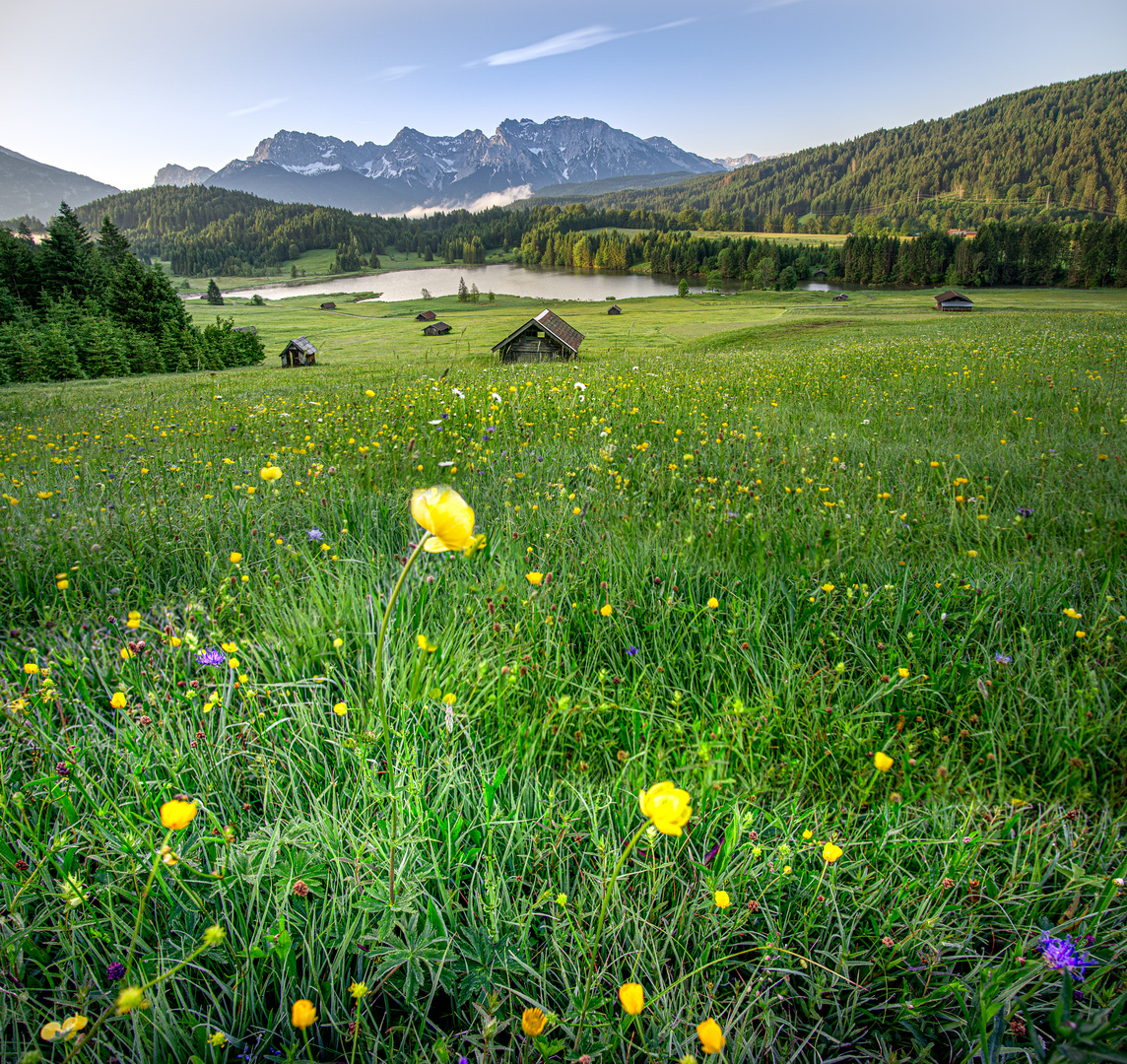 Blume am Geroldsee