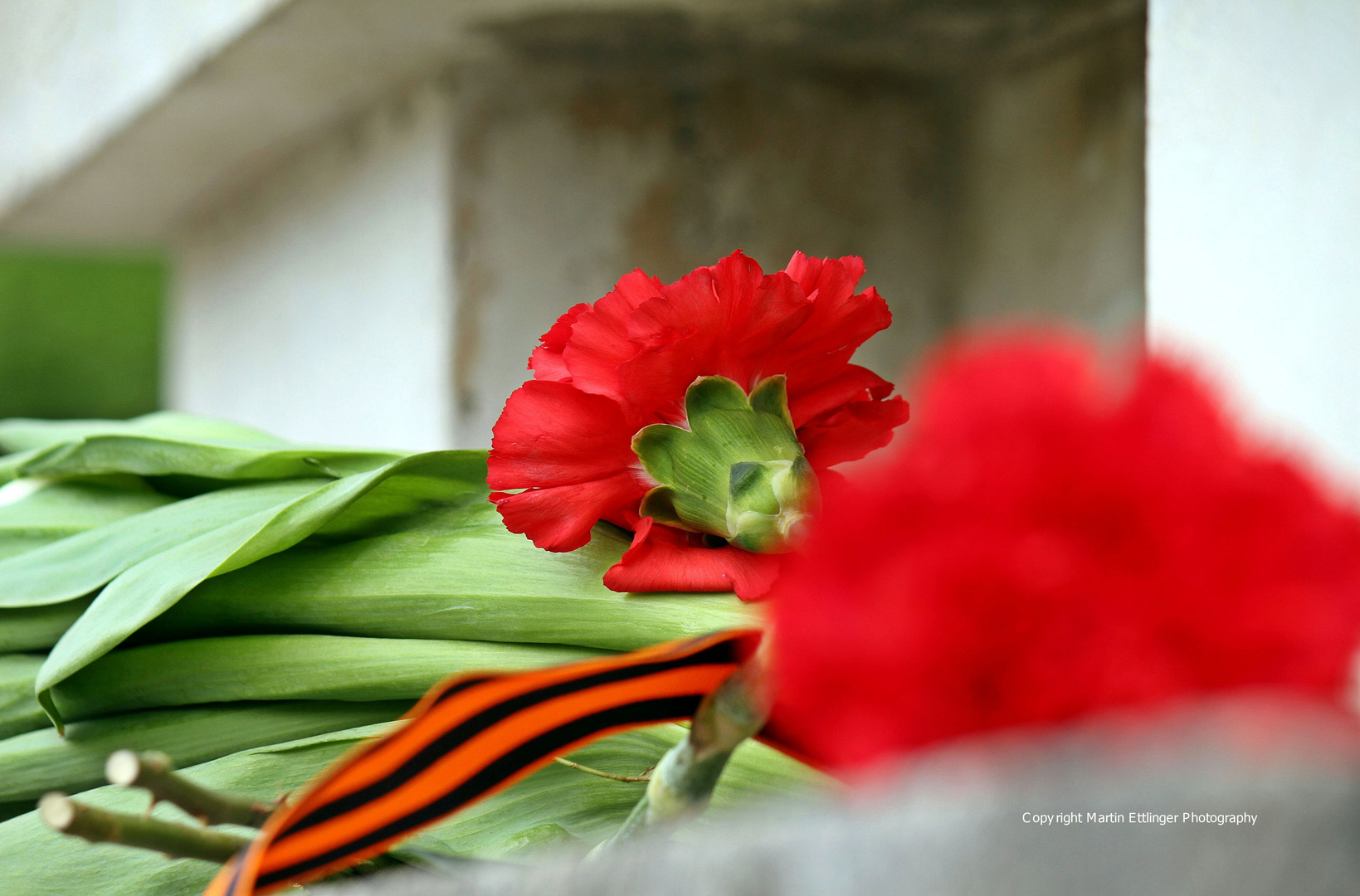 Blume auf dem Sowjetischen Ehrenmal Treptow