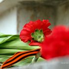 Blume auf dem Sowjetischen Ehrenmal Treptow