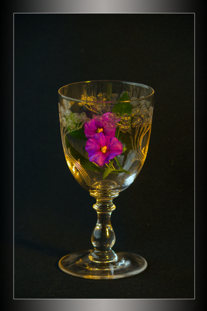 Blume im Glas