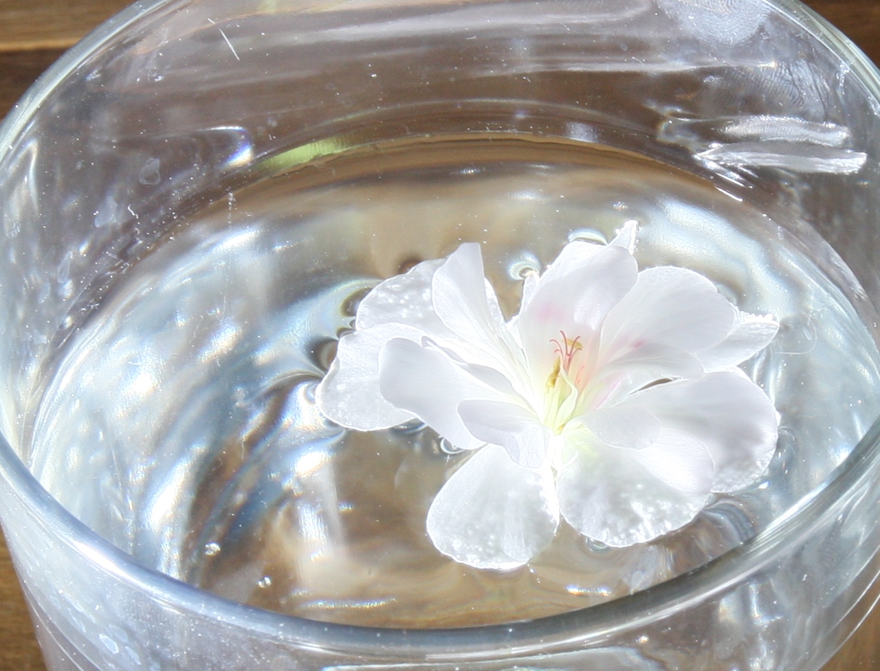 Blume im Wasser