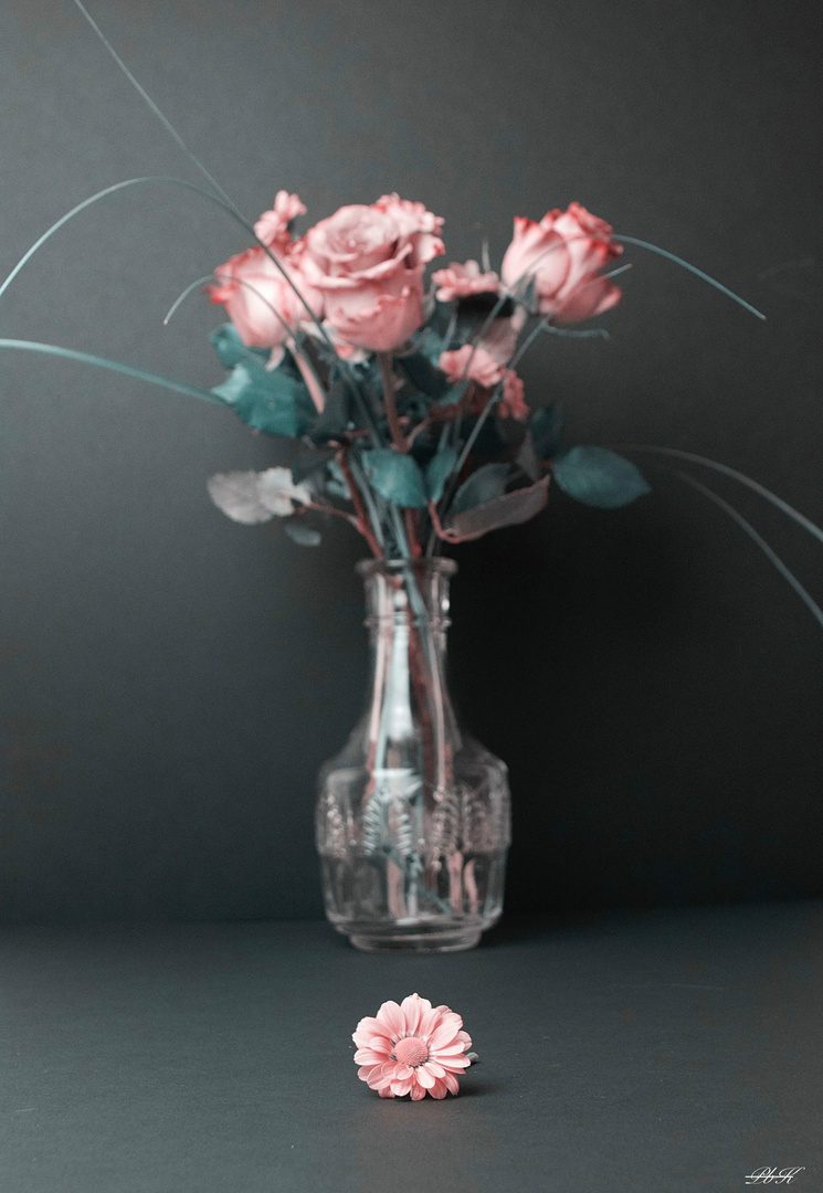 Blume in Vase Foto & Bild | fotos, makro, licht Bilder auf fotocommunity