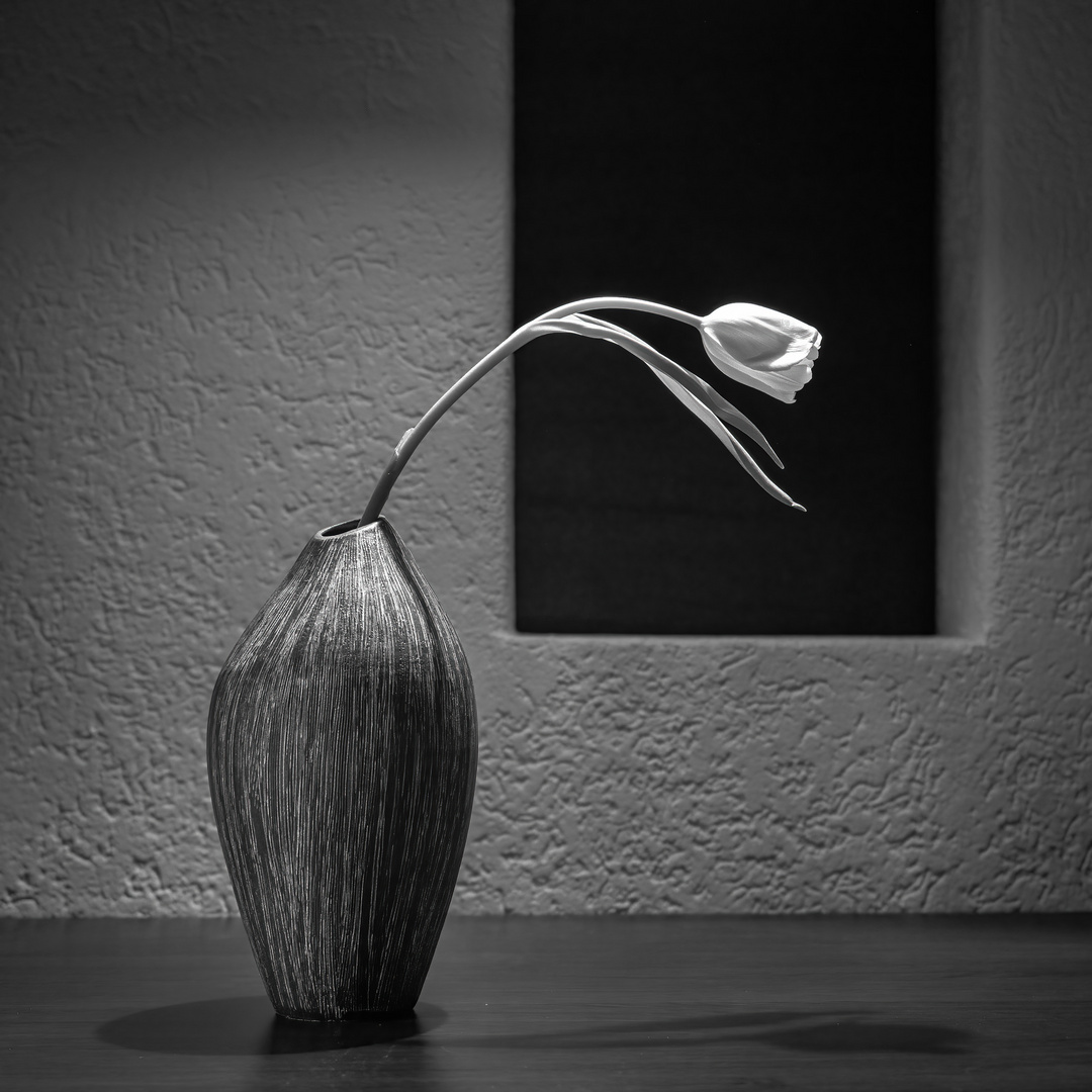 Blume mit Vase -Bild#1