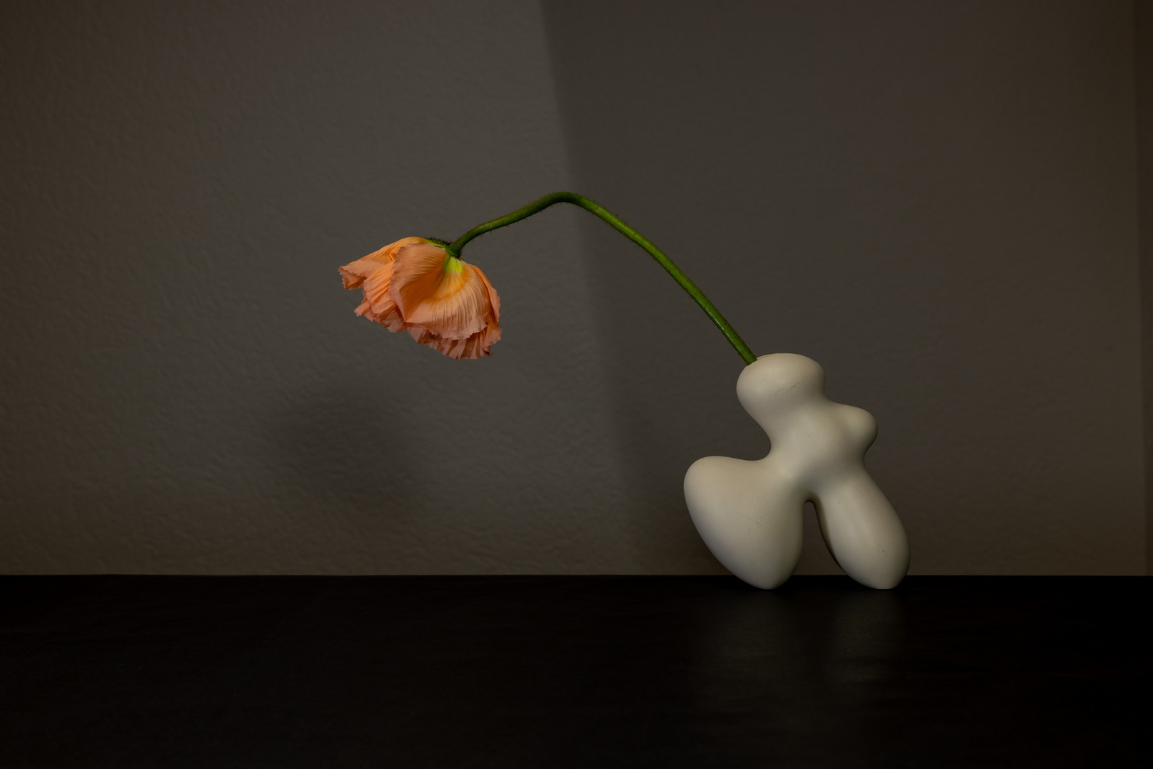 Blume mit Vase -Bild#3