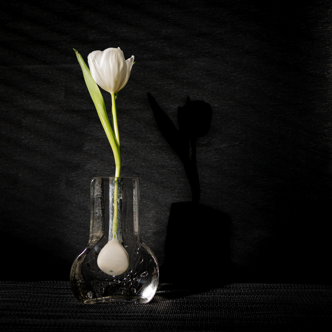 Blume mit Vase -Bild#6