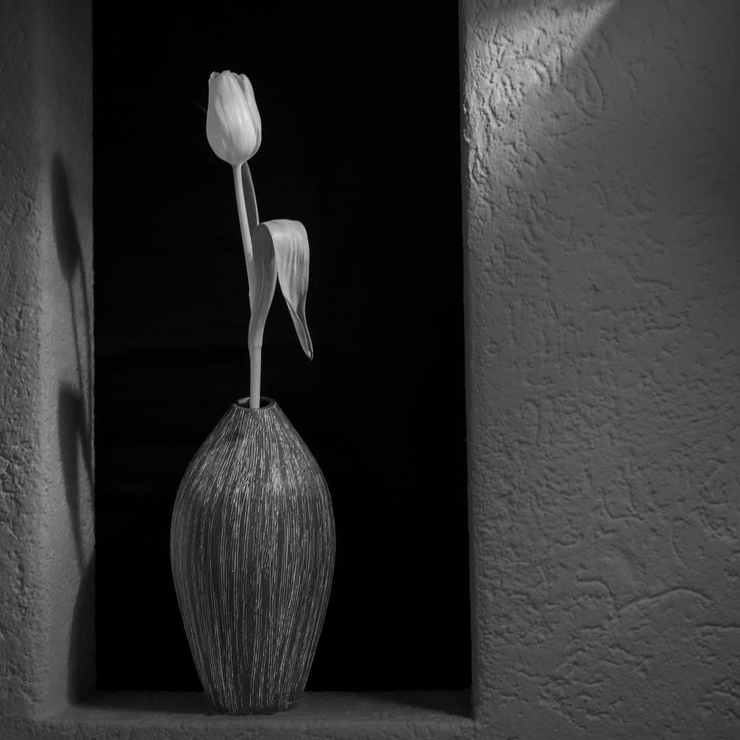 Blume mit Vase -Bild#7