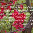 Blume und Spruch (23)