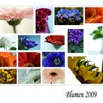 Blumen 2009