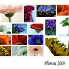 Blumen 2009