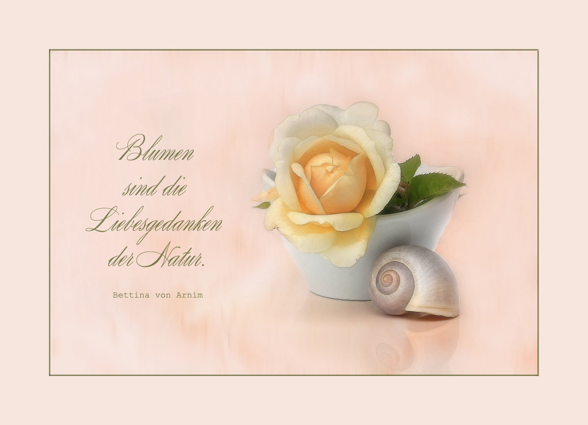 BLUMEN ....