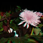 Blumen 3D nachgearbeitet