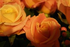 blumen