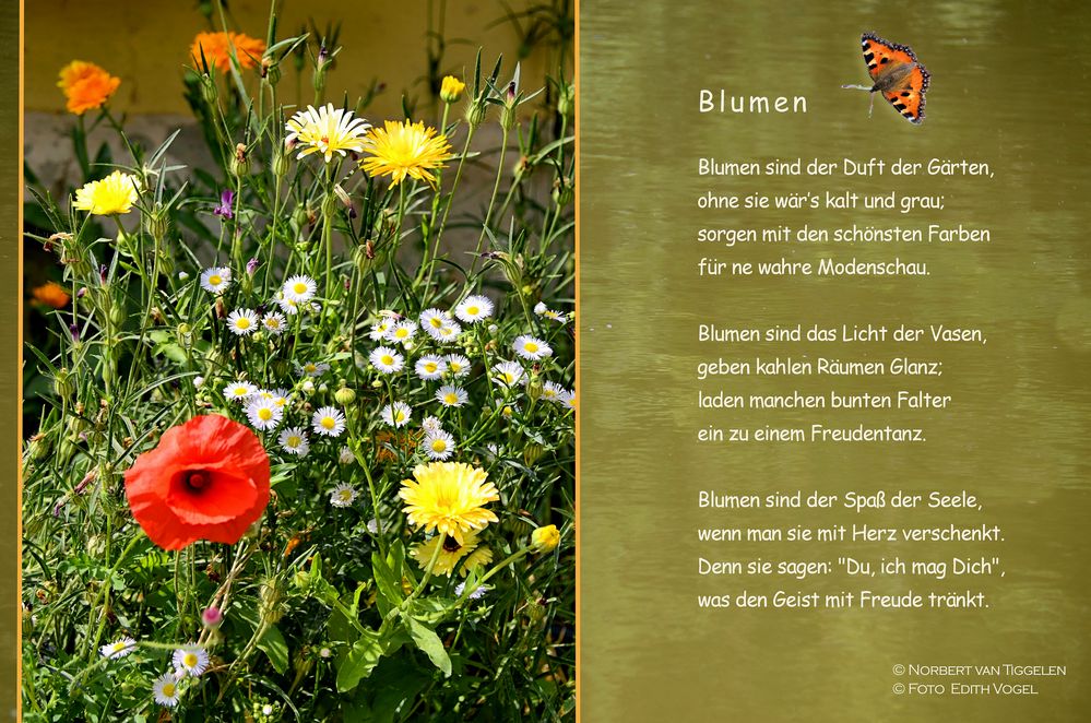 BLUMEN