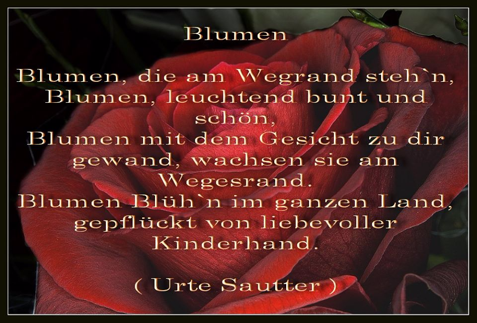 Blumen