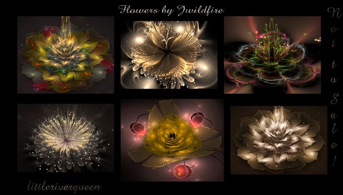 Blumen aller Art......