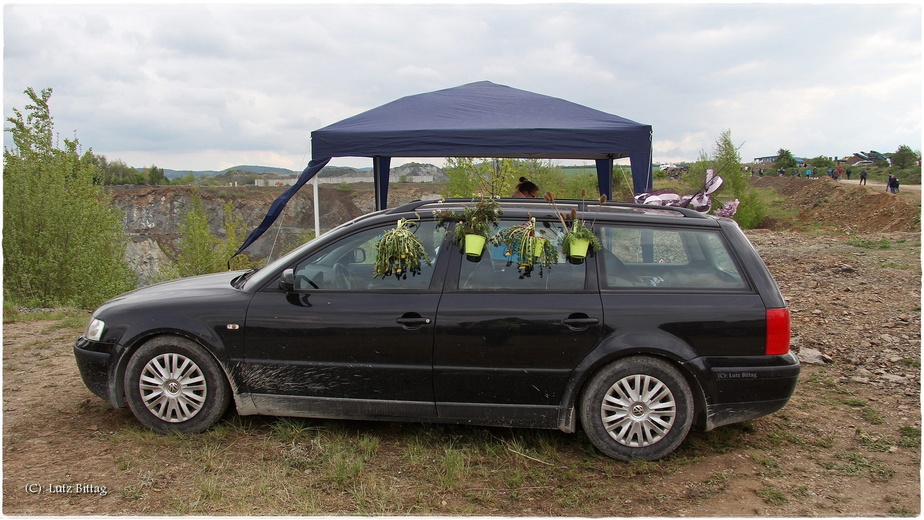 Blumen am Auto