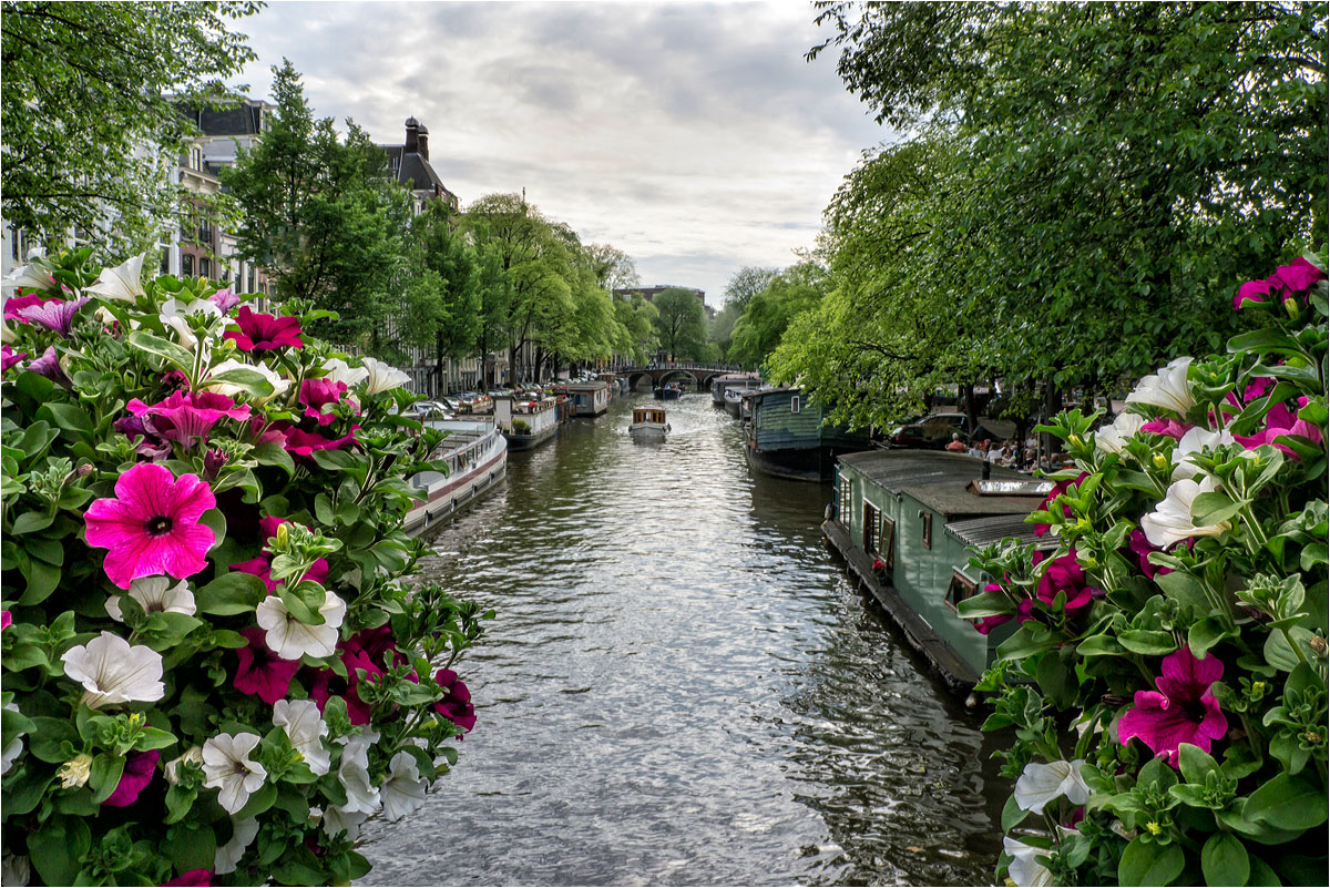 Blumen am Brückengeländer