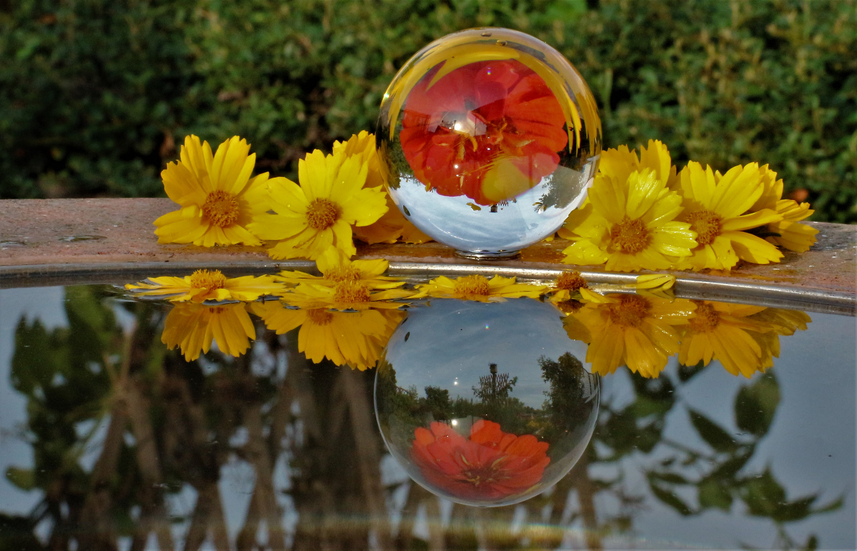 Blumen am Brunnen 