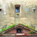 Blumen am Fenster