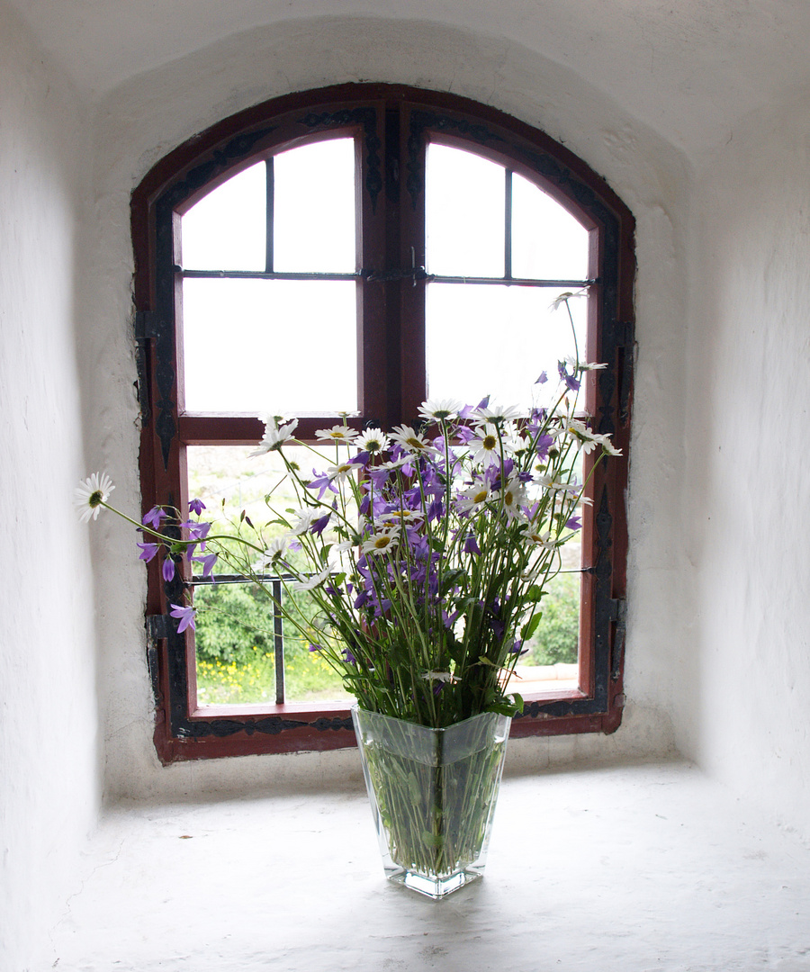 Blumen am Fenster.