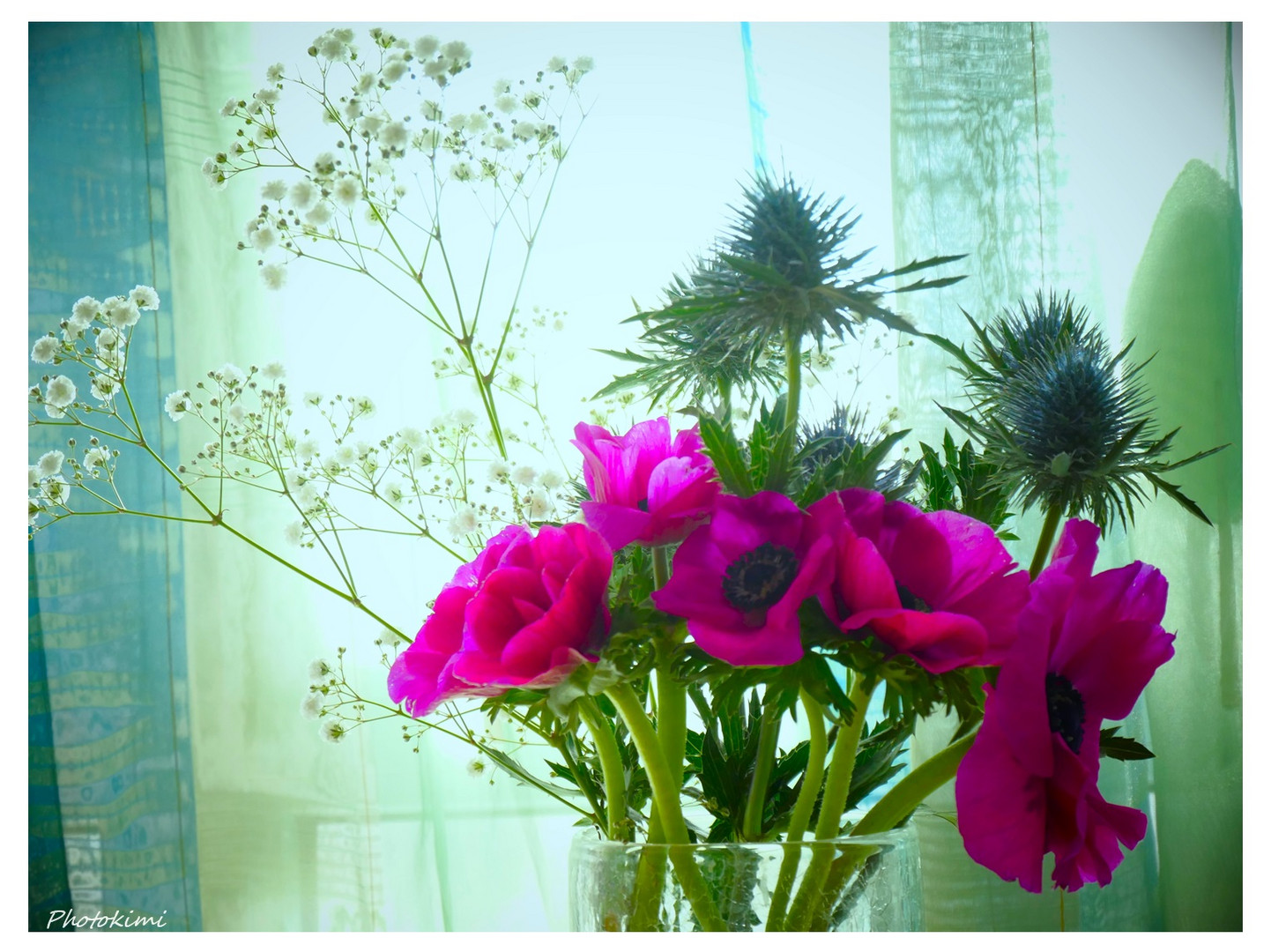 Blumen am Fenster 