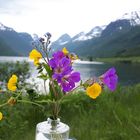 Blumen am Fjord