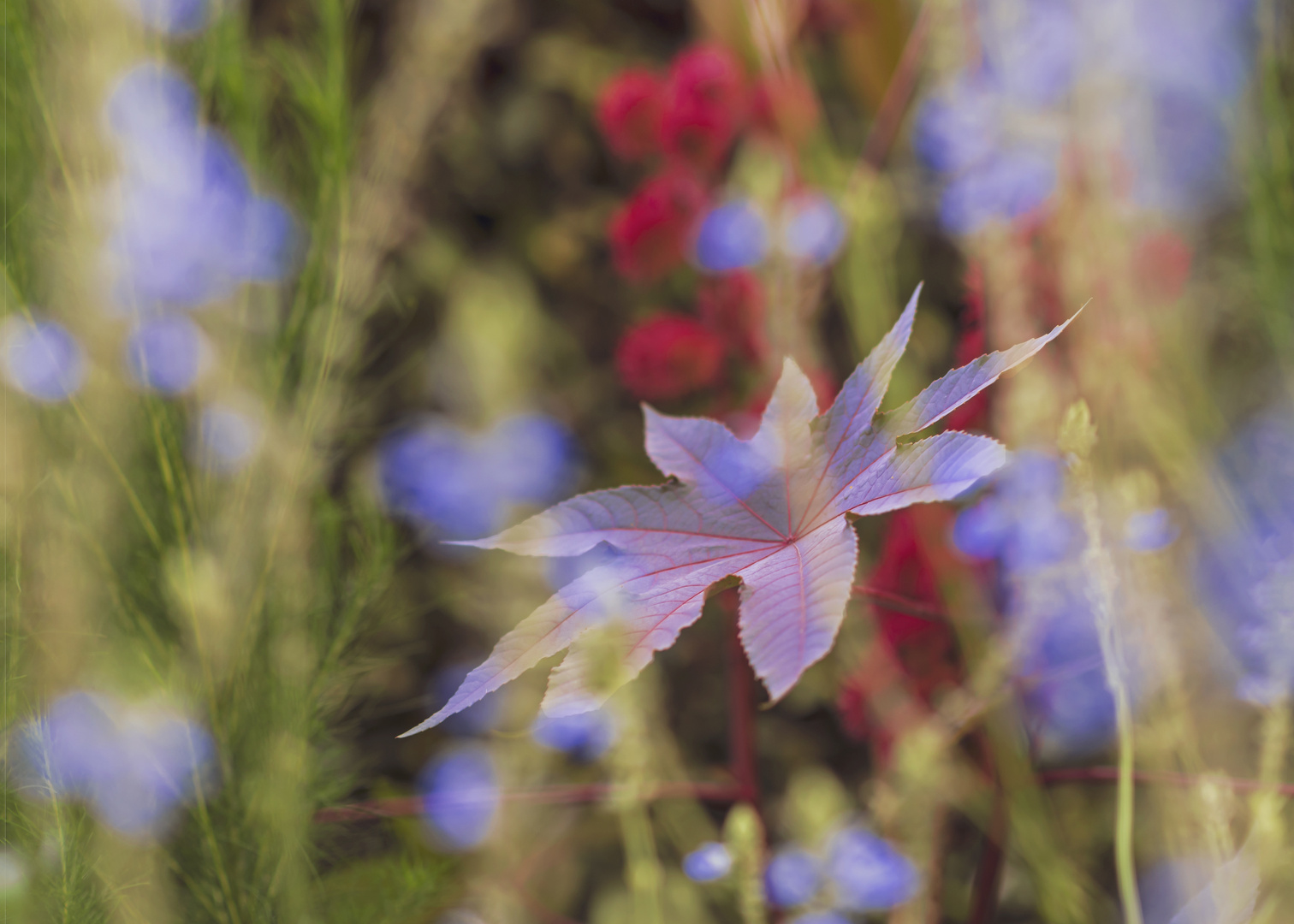 Blumen am "laufenden Band"