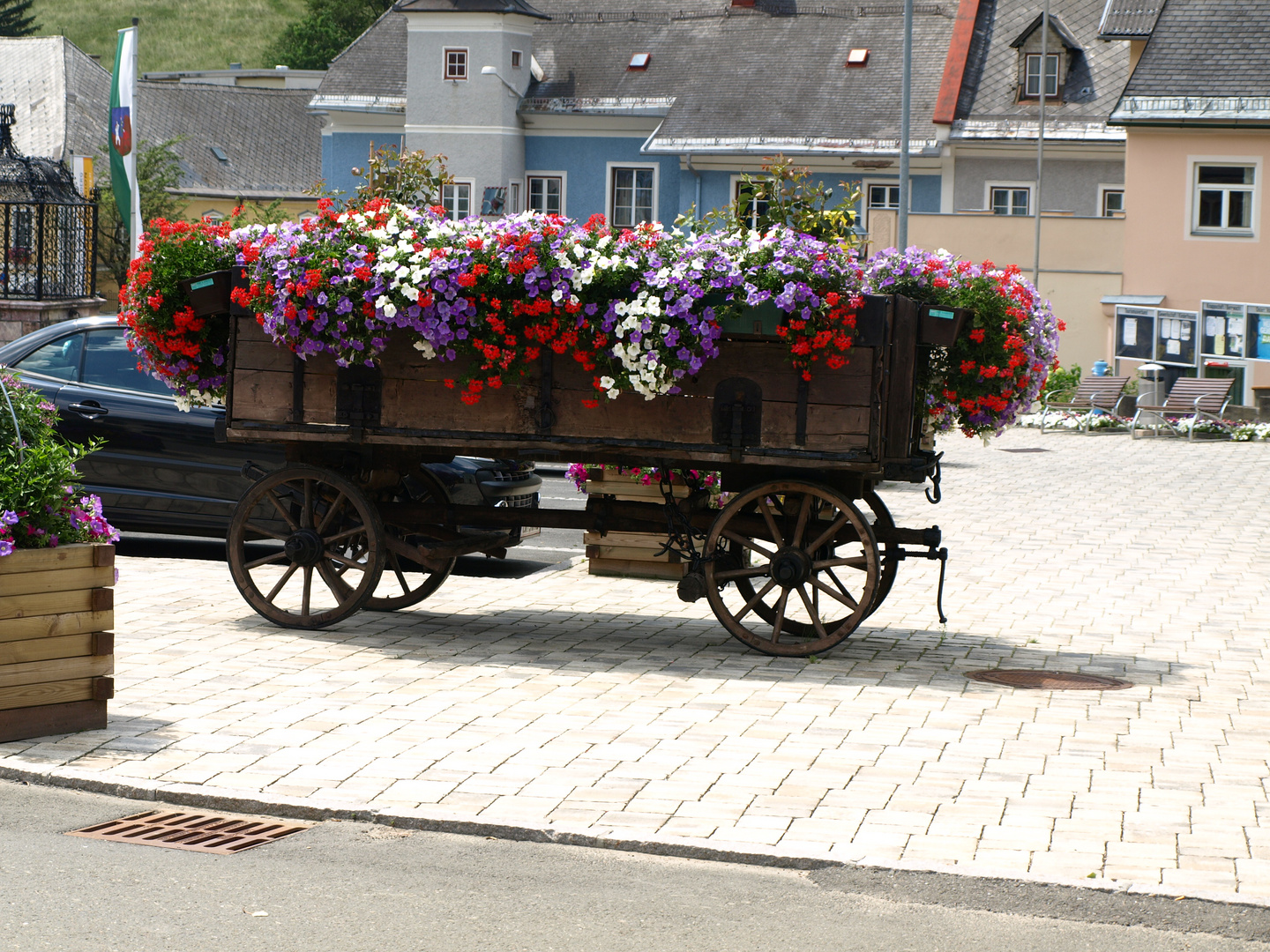 BLUMEN AM MARKTPLATZ IN VORDERNBERG