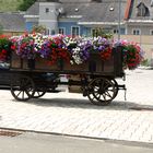 BLUMEN AM MARKTPLATZ IN VORDERNBERG