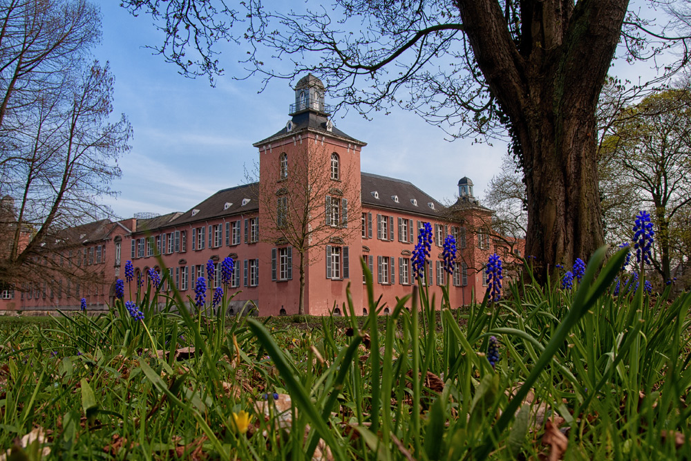 Blumen am Schloss Kalkum