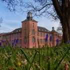 Blumen am Schloss Kalkum