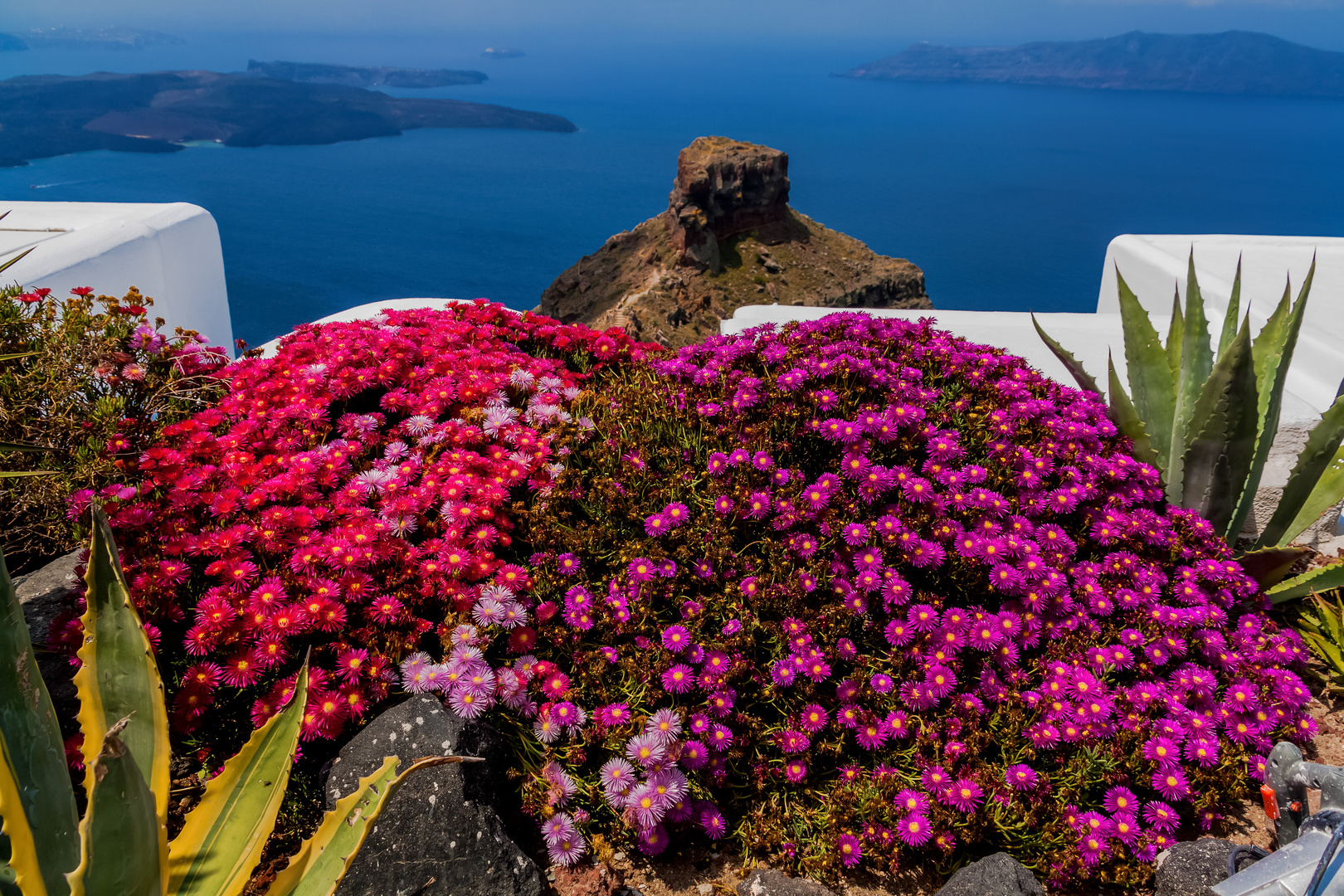 Blumen am Skaros